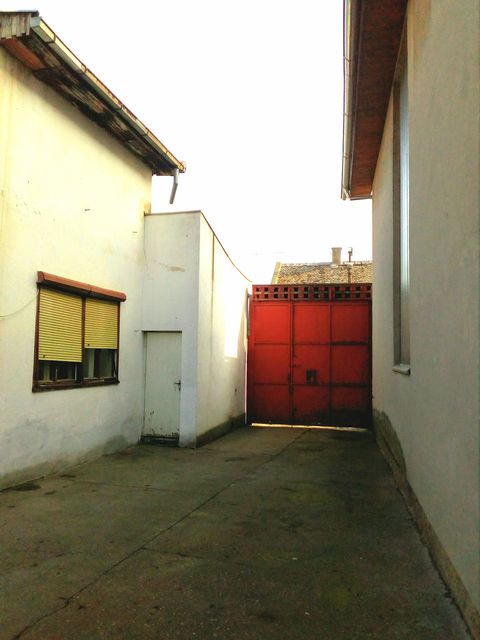 Vasko Kaluđerović 26, Lovćenac - 9