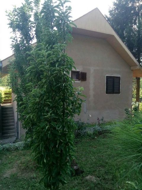 Starca Vujadina 5, Inđija - 6