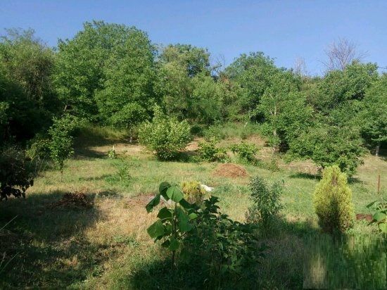 Starca Vujadina 5, Inđija - 2