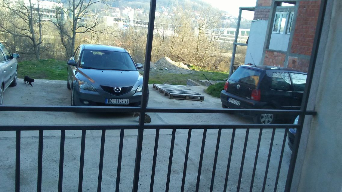 Slavka Rodića 19a, Beograd - 6