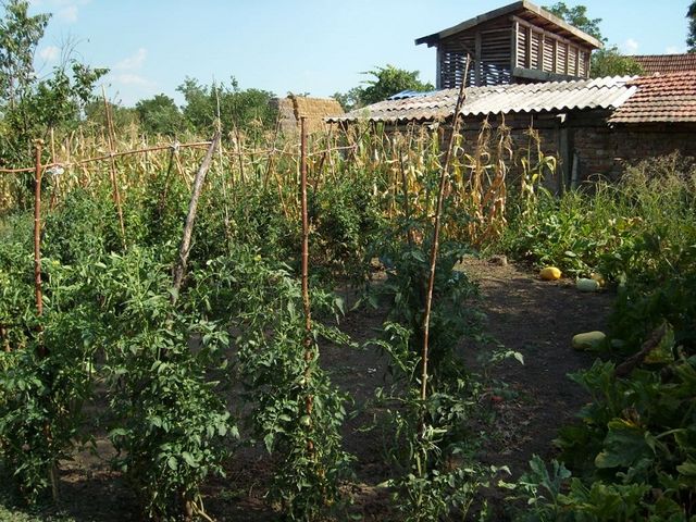 Maršala Tita  102, Farkaždin - 18