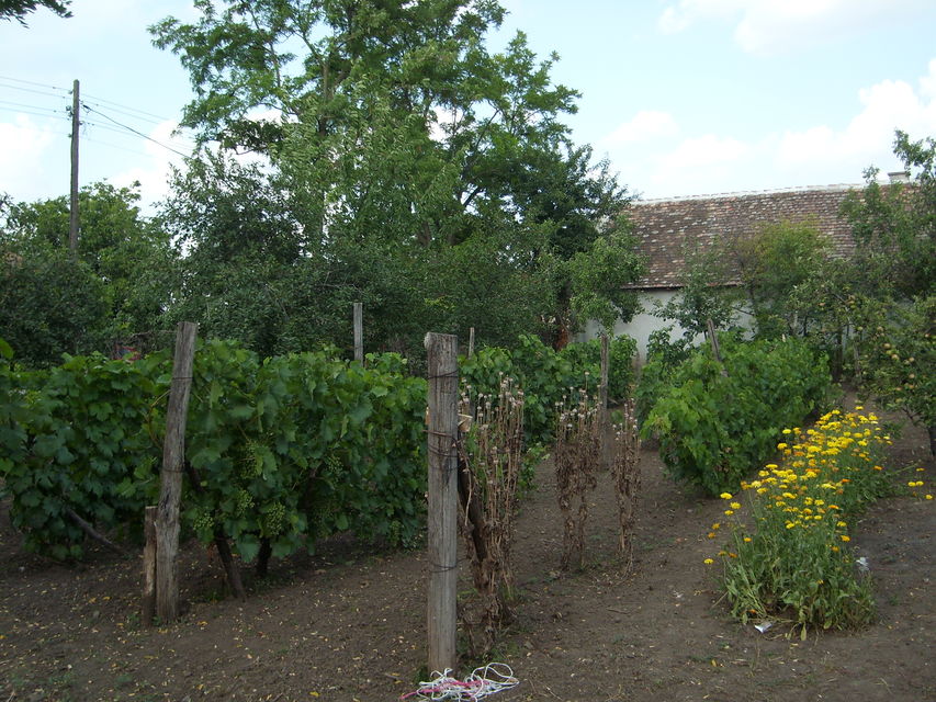 Maršala Tita  102, Farkaždin - 19