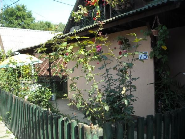 Ada Ciganlija - naselje Partizan 75, Beograd - 3