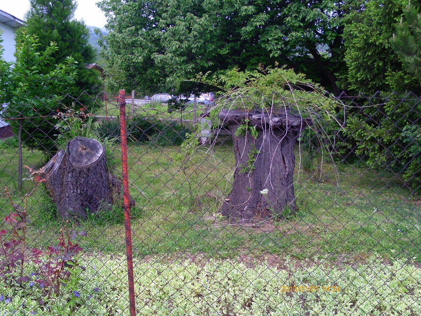 Srpsko-grčkog prijateljstva 62, Beograd - 6