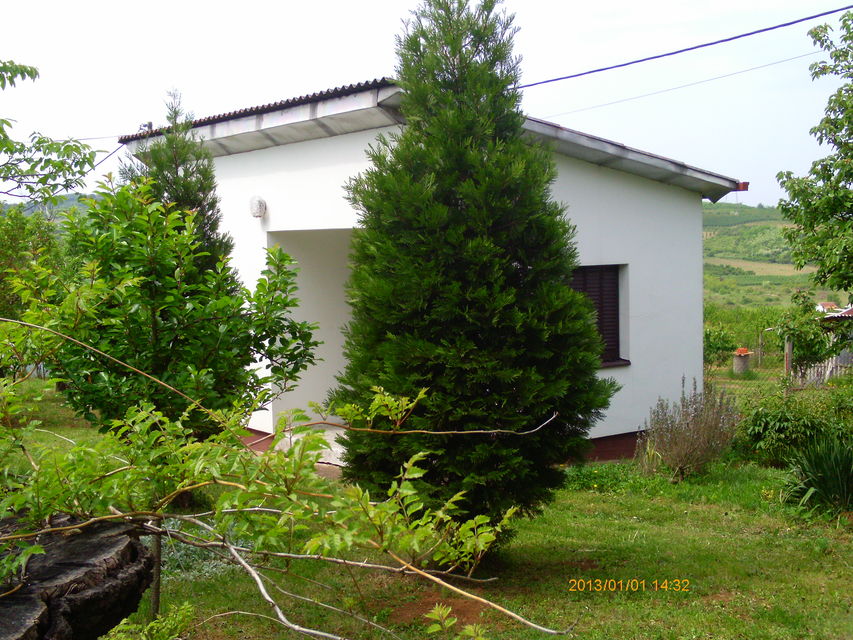 Srpsko-grčkog prijateljstva 62, Beograd