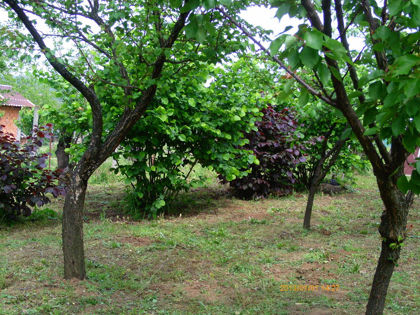 Srpsko-grčkog prijateljstva 62, Beograd - 3