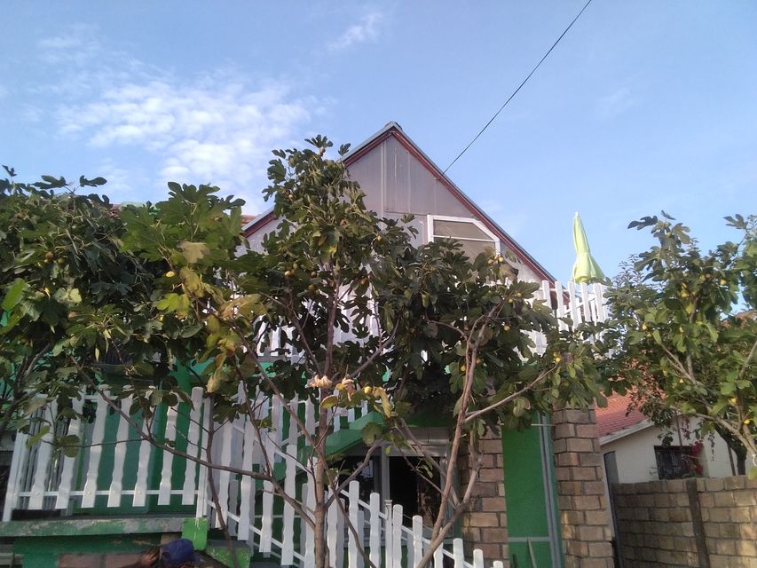 Grobljanska  7, Vrdnik - 2