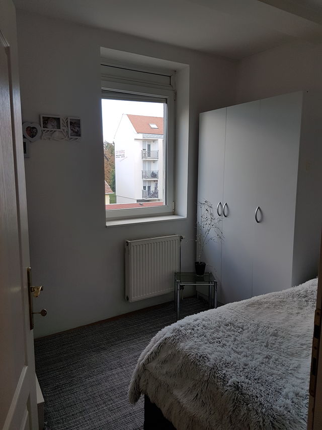 Cara Dušana 43, Novi Sad - 9