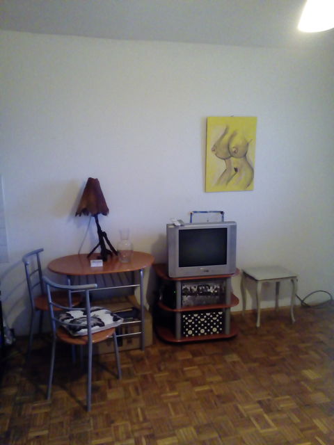 Stevana Brakusa 7, Beograd - 3