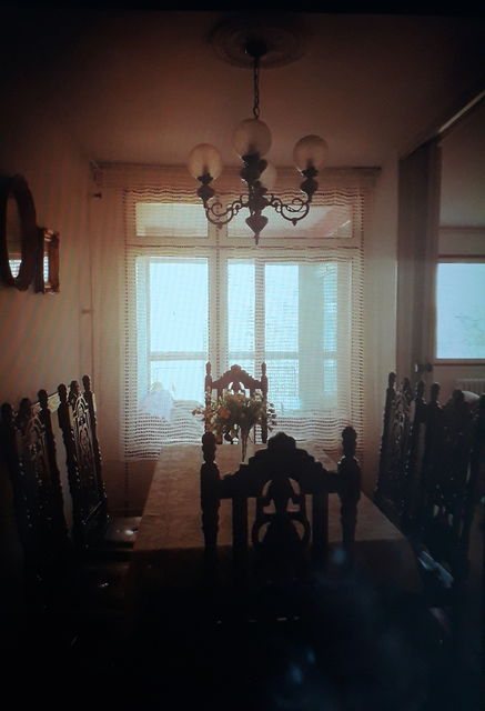 Paunova 47, Beograd - 2