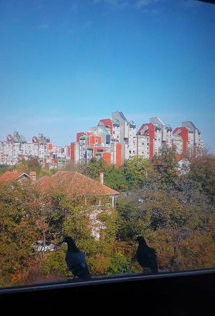 Paunova 47, Beograd - 9