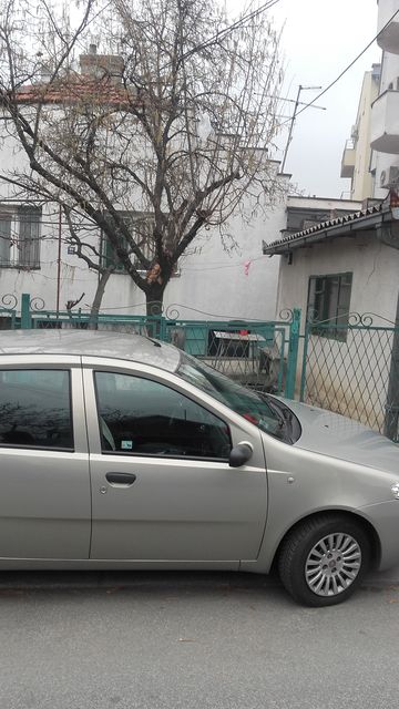 Paje Jovanovića 22, Beograd