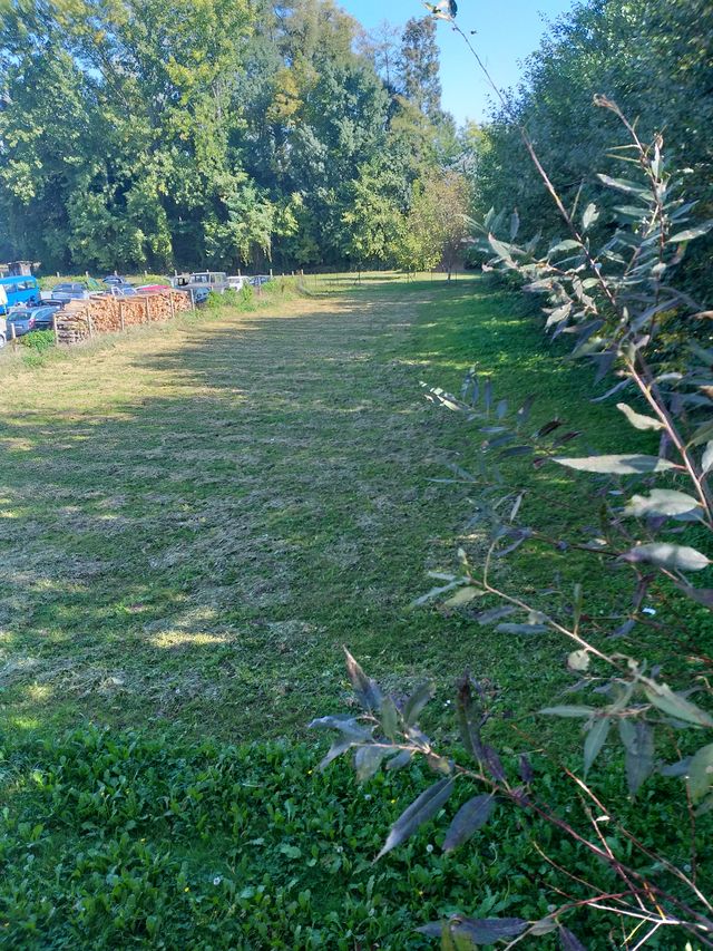 Grobljanska 2, Loznica - 2