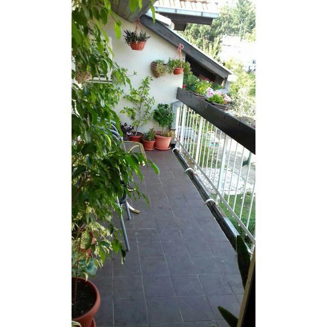 Mrakovička 44, Beograd - 7