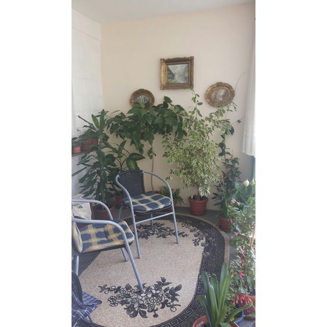 Mrakovička 44, Beograd - 8