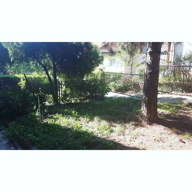 Mrakovička 44, Beograd - 12