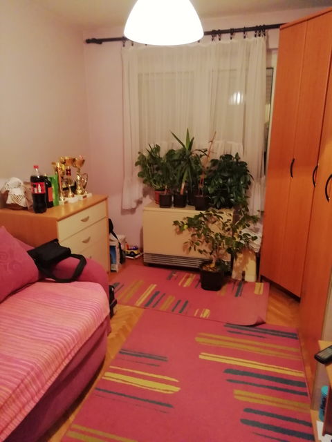 Vase Pelagića 6, Pančevo - 5