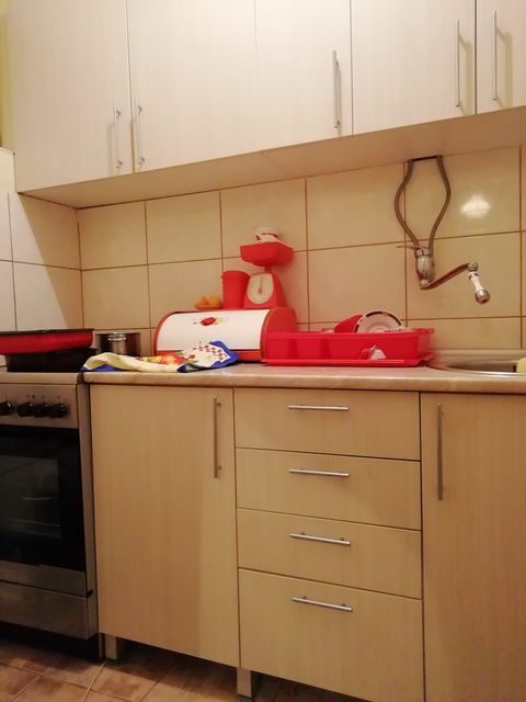 Vase Pelagića 6, Pančevo - 7