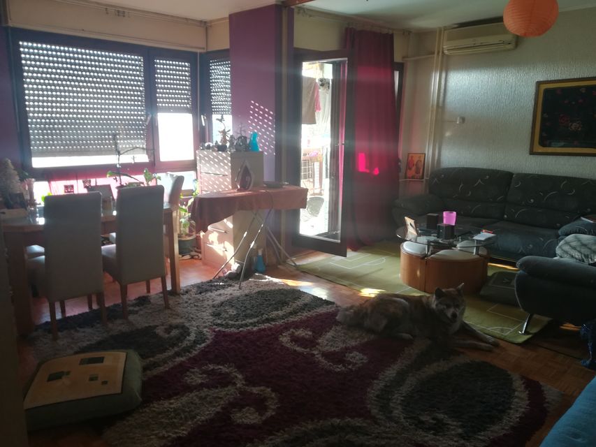 Bulevar oslobođenja 42, Novi Sad - 8