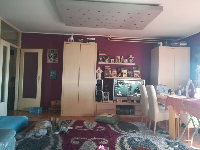 Bulevar oslobođenja 42, Novi Sad - 2