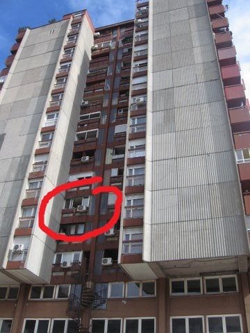 Bulevar despota Stefana 68a, Beograd - 12