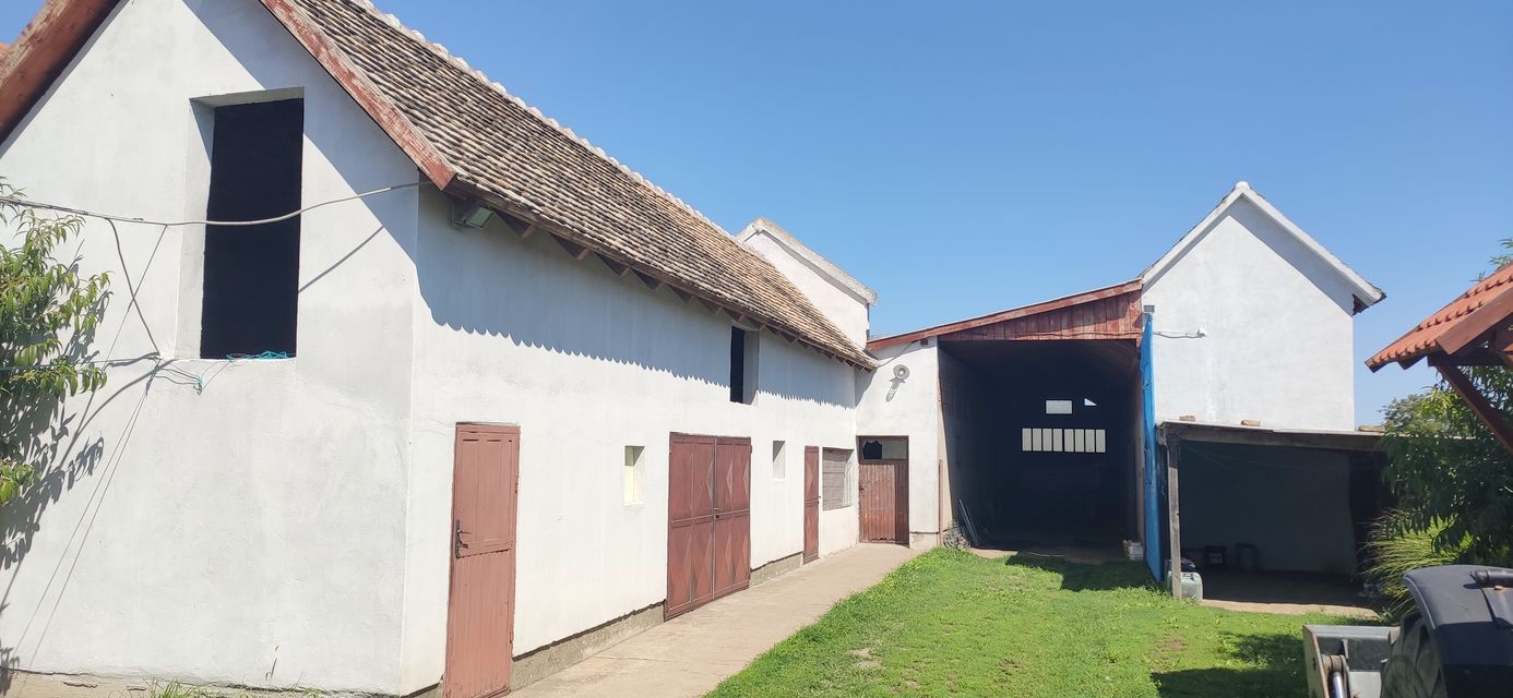 Putinačka 64, Golubinci - 4