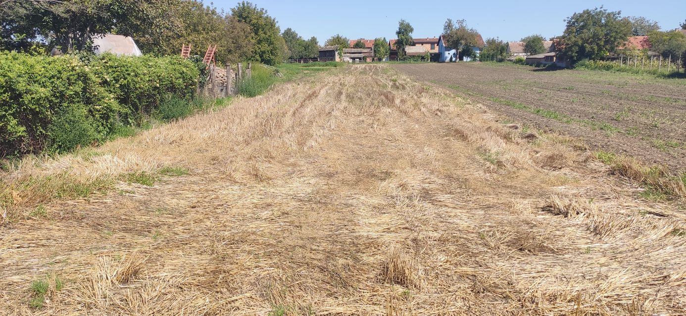 Putinačka 64, Golubinci - 7