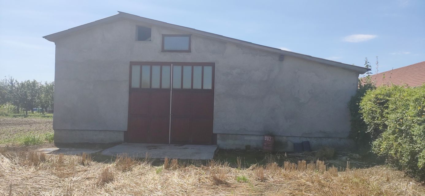 Putinačka 64, Golubinci - 6