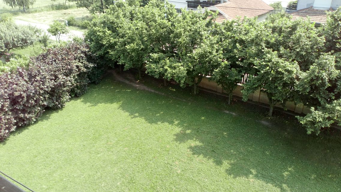 Rastka Nemanjića 38, Mladenovac - 19