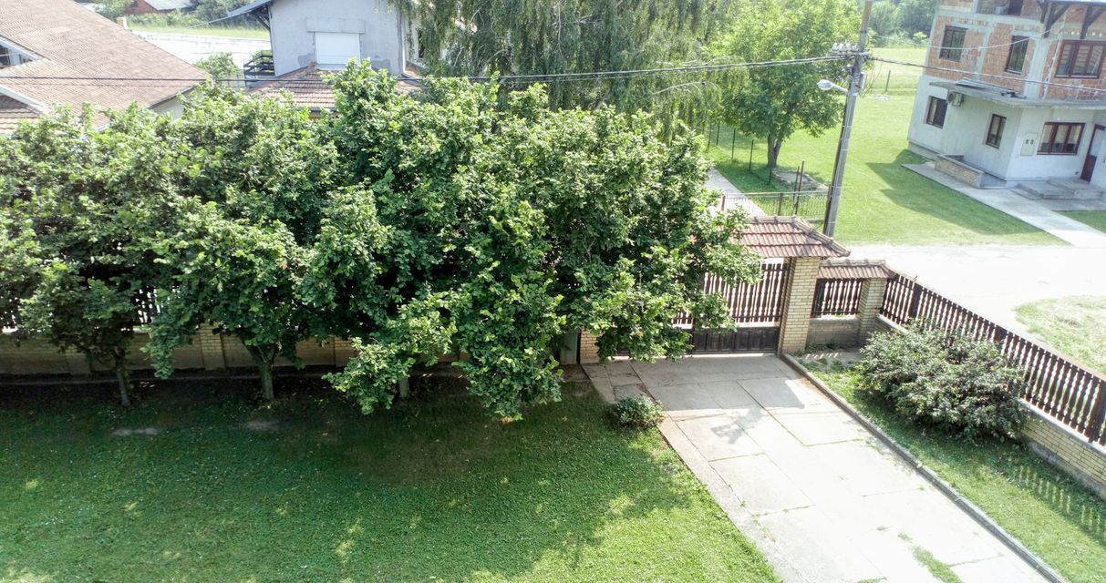 Rastka Nemanjića 38, Mladenovac - 18