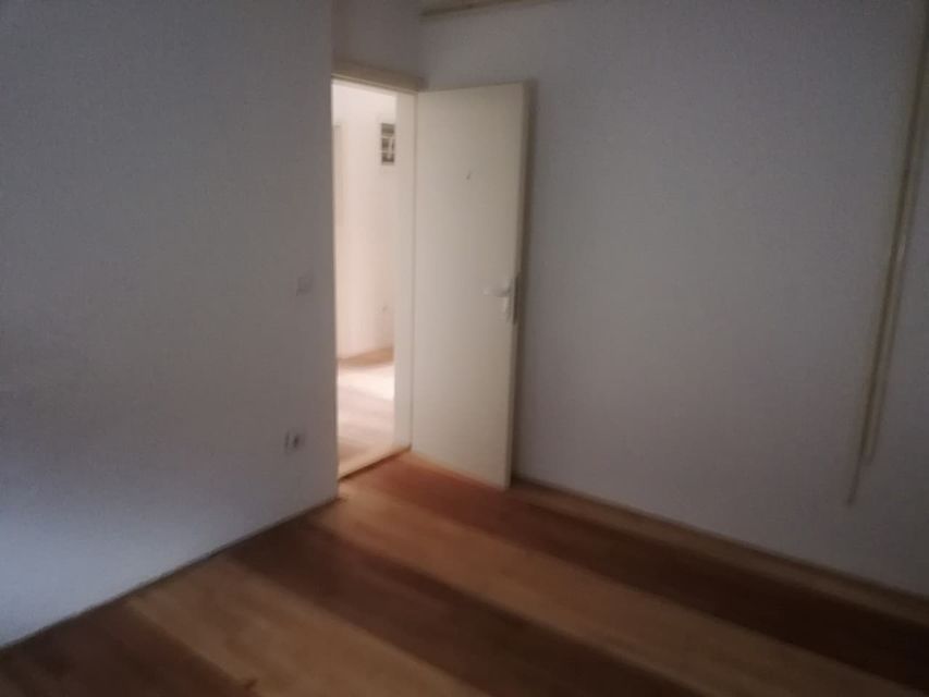 Žička 2, Novi Sad - 3