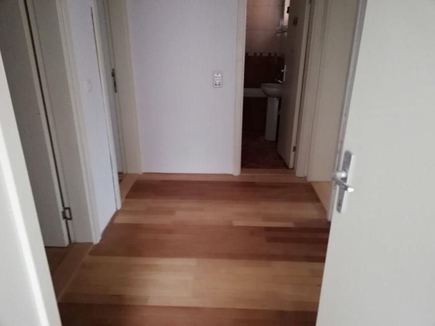 Žička 2, Novi Sad - 1