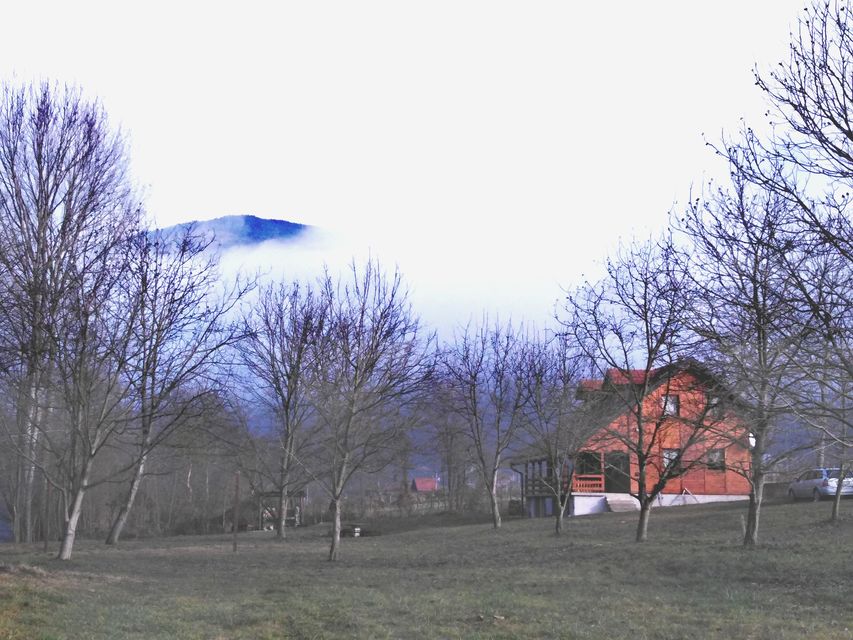 Drlače bb-1, Ljubovija - 3