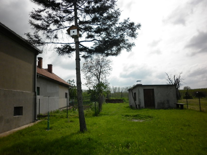 Sedmog jula  19, Beograd - 4