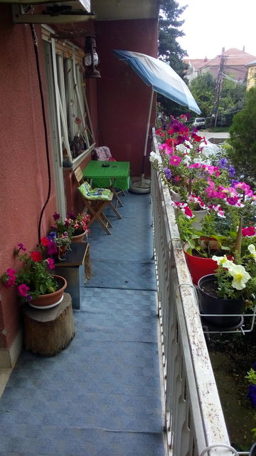 Kubanska 34, Niš - 12