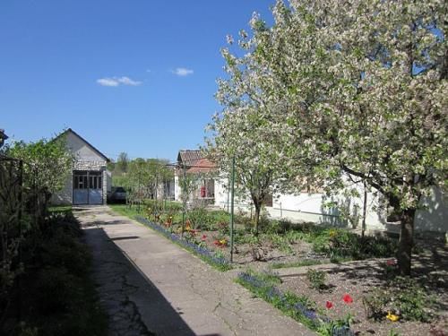 Ilindenska 25, Plandište - 3