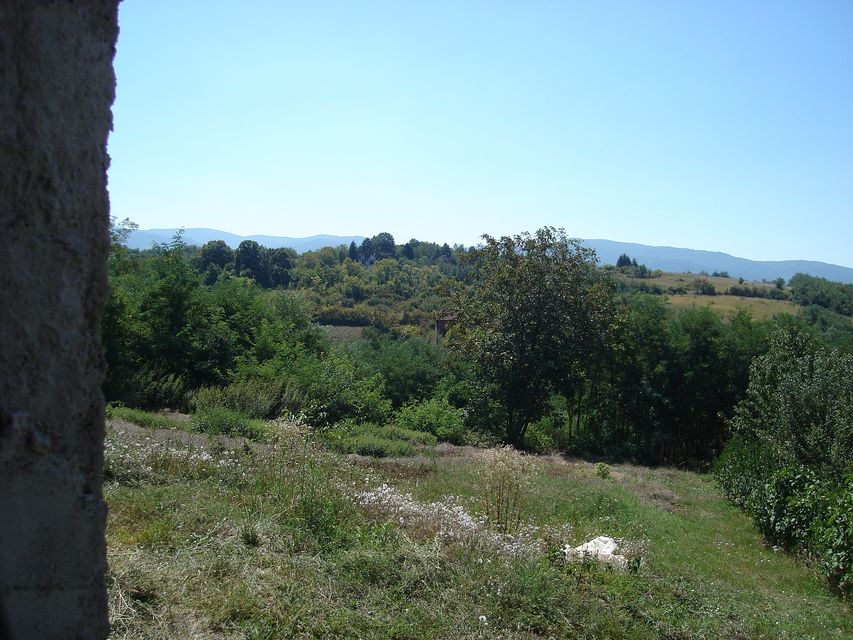 Miodraga Petrovića Čkalje 35, Niš - 4