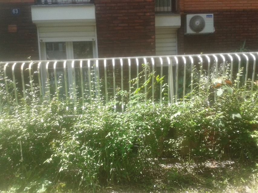 Bulevar vojvode Stepe 63, Novi Sad - 11