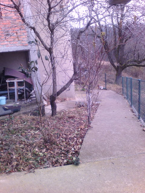 Lipovica 237, Despotovac - 4