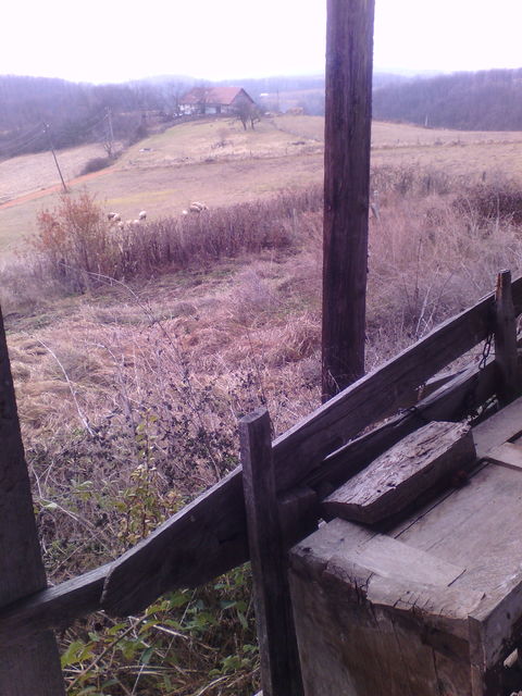 Lipovica 237, Despotovac - 5