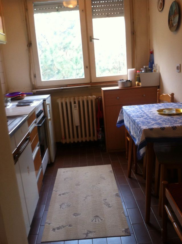 Seljačkih buna 81, Novi Sad - 17