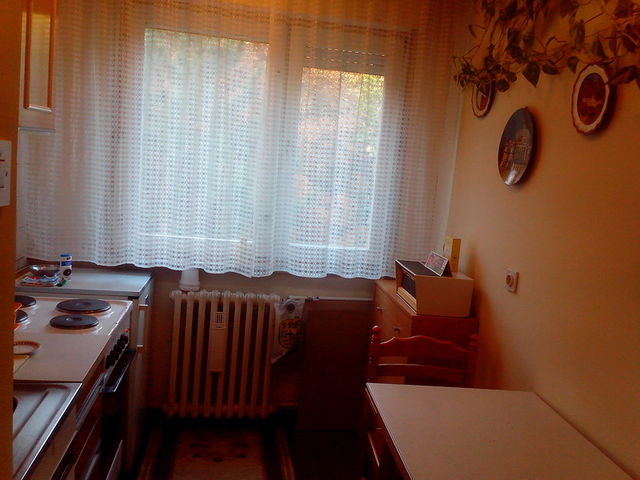 Seljačkih buna 81, Novi Sad - 5