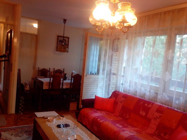 Seljačkih buna 81, Novi Sad - 10