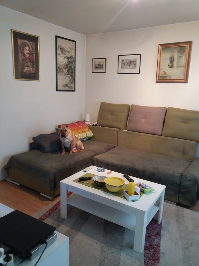 Beogradska 35, Užice - 6