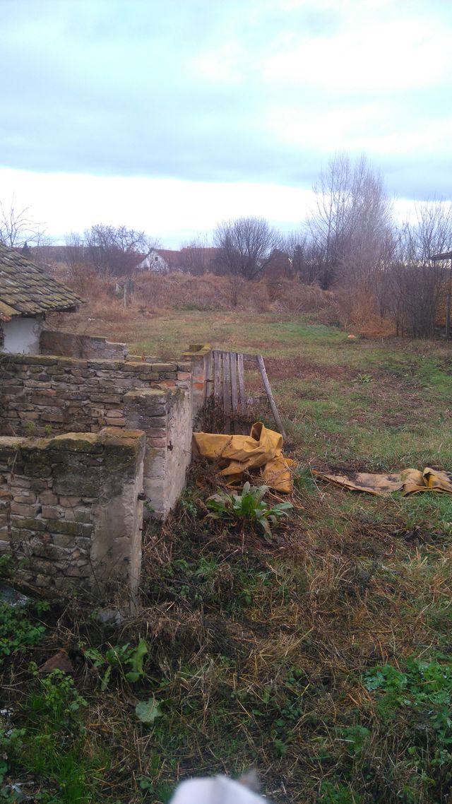 Vojvode Putnika 5, Odžaci - 10