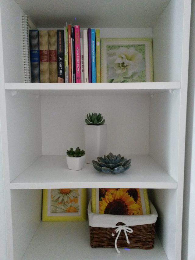 Danila Kiša 3, Novi Sad - 20