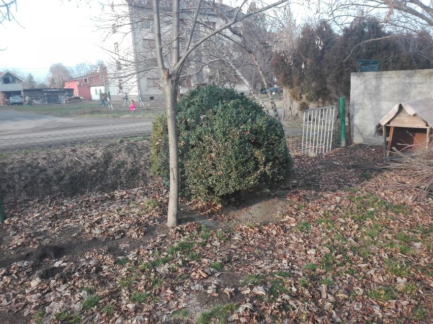 Dejana Smiljkovića 60, Beograd - 15