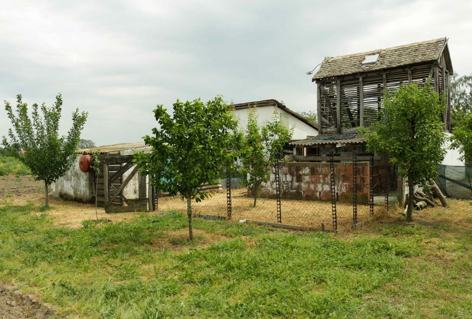 Braće Ristivojević 5, Belegiš - 11