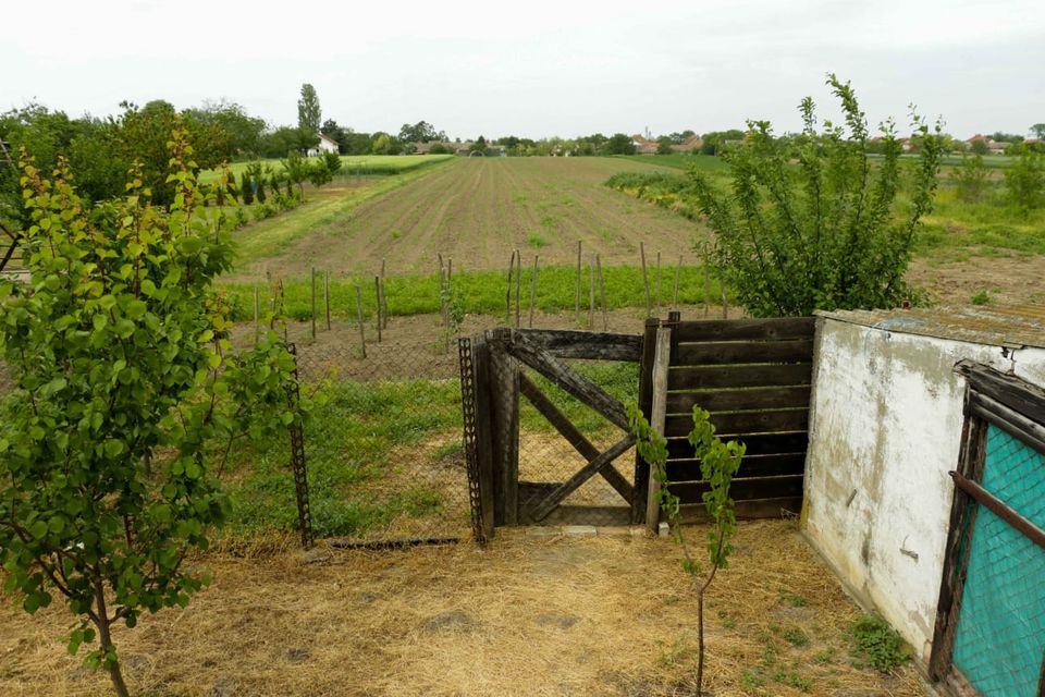 Braće Ristivojević 5, Belegiš - 12