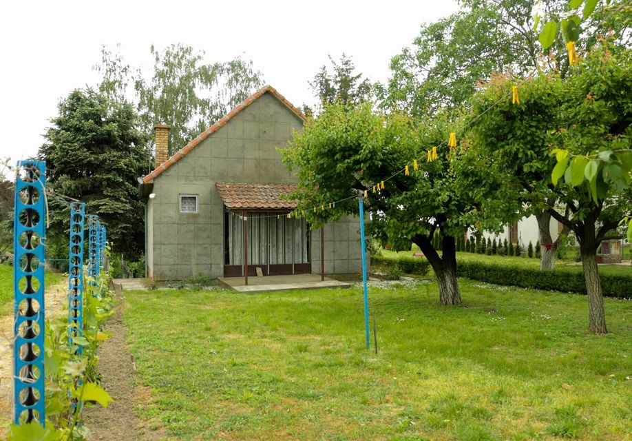 Braće Ristivojević 5, Belegiš - 9